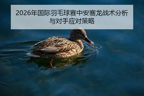 2026年国际羽毛球赛中安赛龙战术分析与对手应对策略
