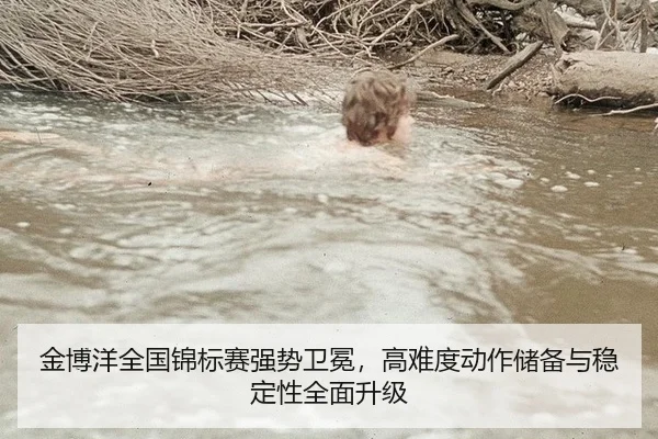 金博洋全国锦标赛强势卫冕，高难度动作储备与稳定性全面升级