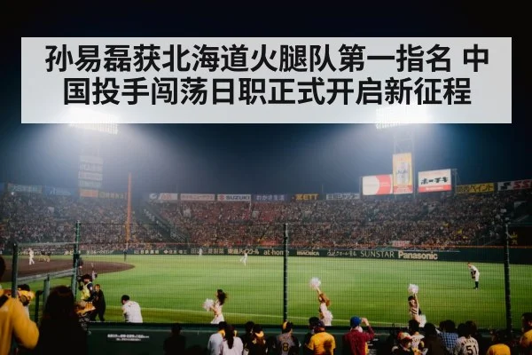 japanese baseball stadium